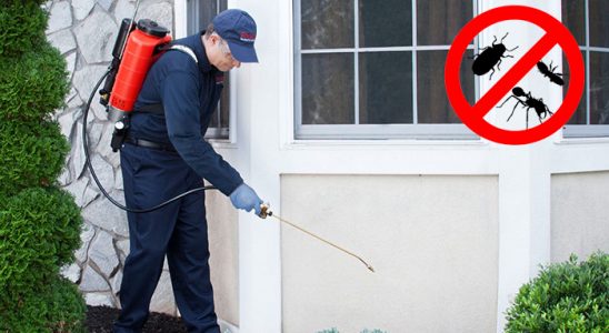 Kilimli Böcek ve Haşere İlaçlama böcek ilaçlama ve haşere kontrolü — ilaclama-tr.com